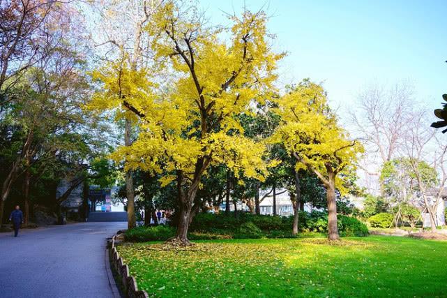 民国时期全国各城市gdp_全国城市gdp排名2020(3)