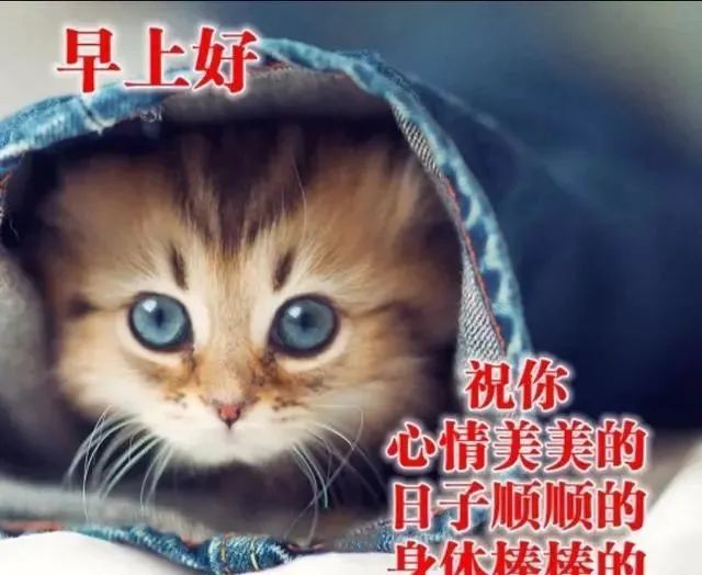 8月31日周一最新早上好问候祝福动态表情图片 8月最新早安问候语动态