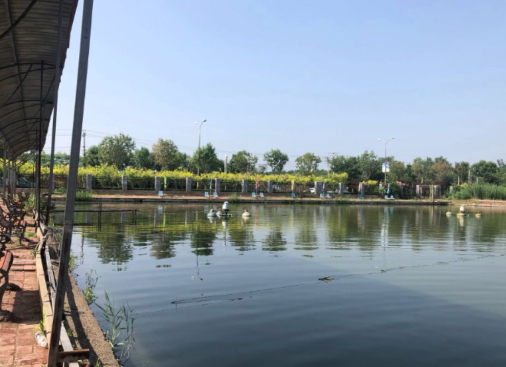 景旺垂钓园