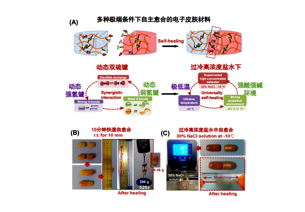 天津大学:超级电子皮肤"全天候"自愈