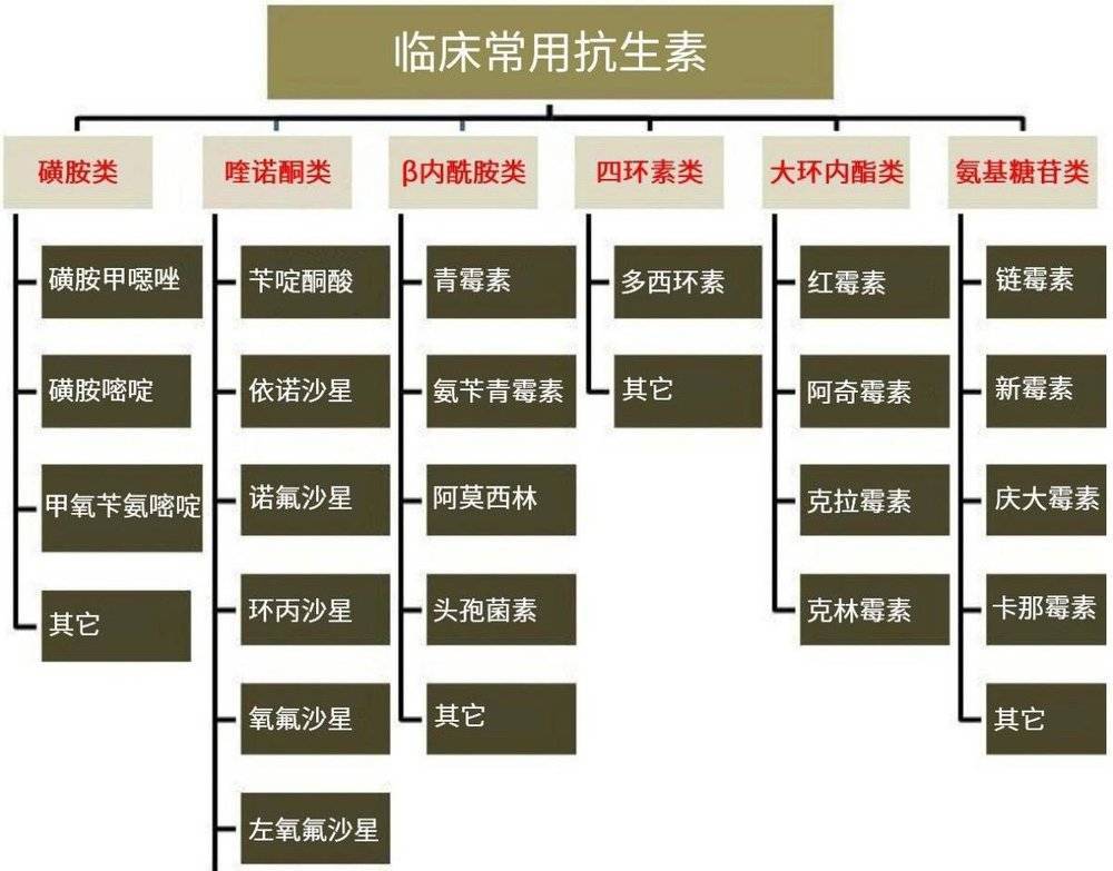 你常吃的阿莫西林，正在引起一场灾难
