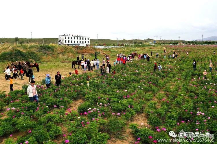 固原市有多少人口_清明小长假 来固原耍耍 固原旅游全攻略送给你