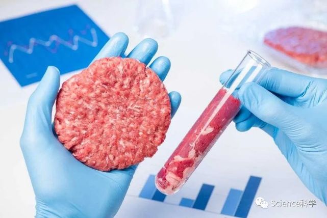 人造肉科学拯救地球:实验室培育肉类你敢吃吗?