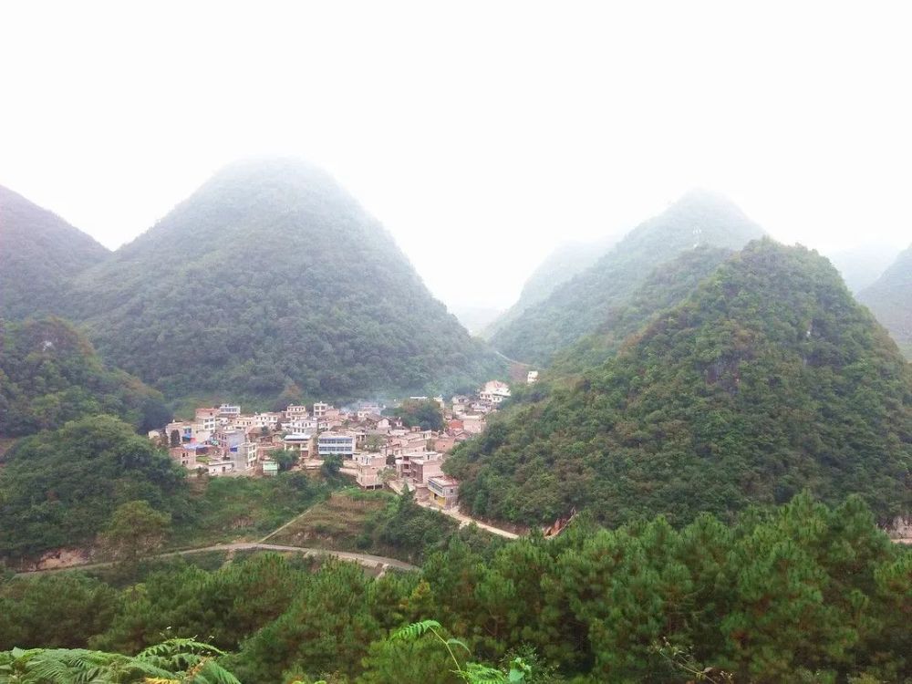 广南县有多少人口_云南广南县人口多少(2)