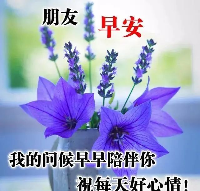 06月01日 早上好!六月的第一天,希望全新的六月一顺百顺万事顺