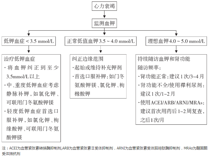 心力衰竭合并低钾血症及理想血钾诊治流程