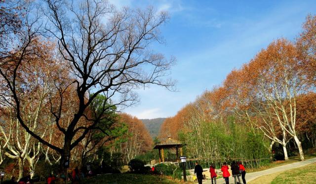 推荐的景点有:习池,怀晋山庄和习氏宗祠.