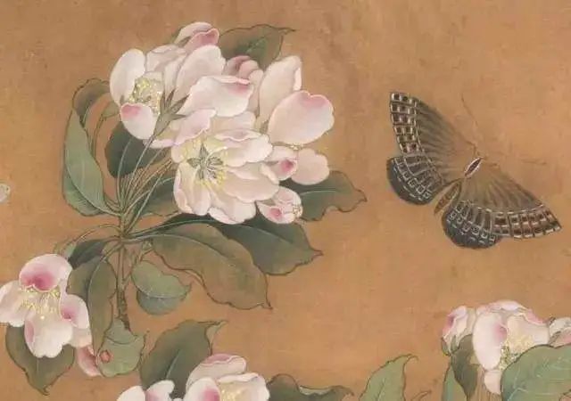 欣赏 海棠蛱蝶图