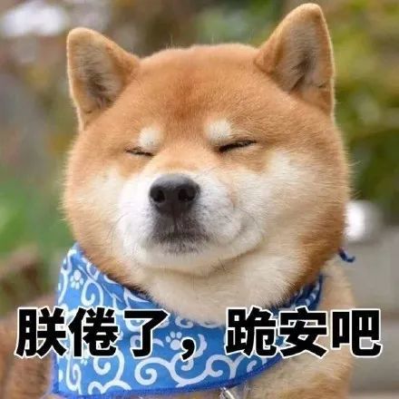 柴犬表情包系列