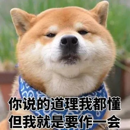 柴犬表情包系列