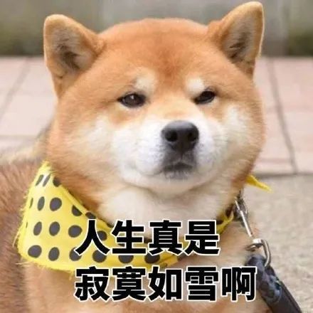 柴犬表情包系列