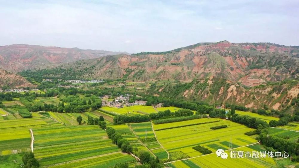 临夏市金色草滩:亲子避暑胜地 童梦乐园