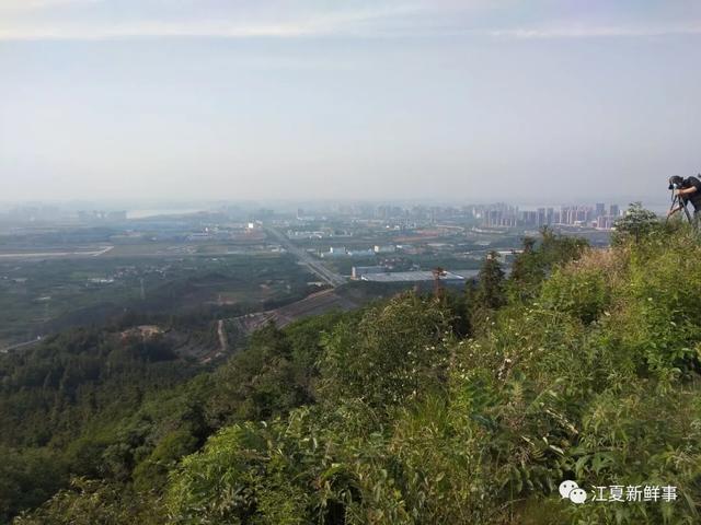 江夏八分山实拍组图!登高望远风景独好!赏夕阳好地方!