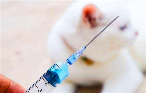在古代当时没有狂犬疫苗的情况下,被狗咬了是怎么处理