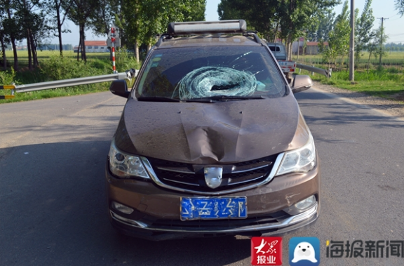 与高某驾驶的两轮电动车发生道路交通事故,造成双方车辆损坏,高某受伤