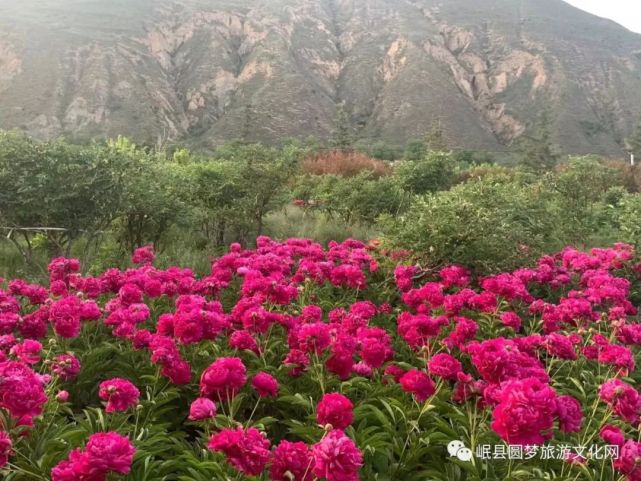 贵清山植物园门票六一起10元