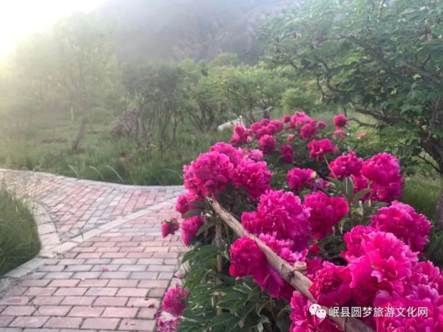贵清山植物园门票六一起10元