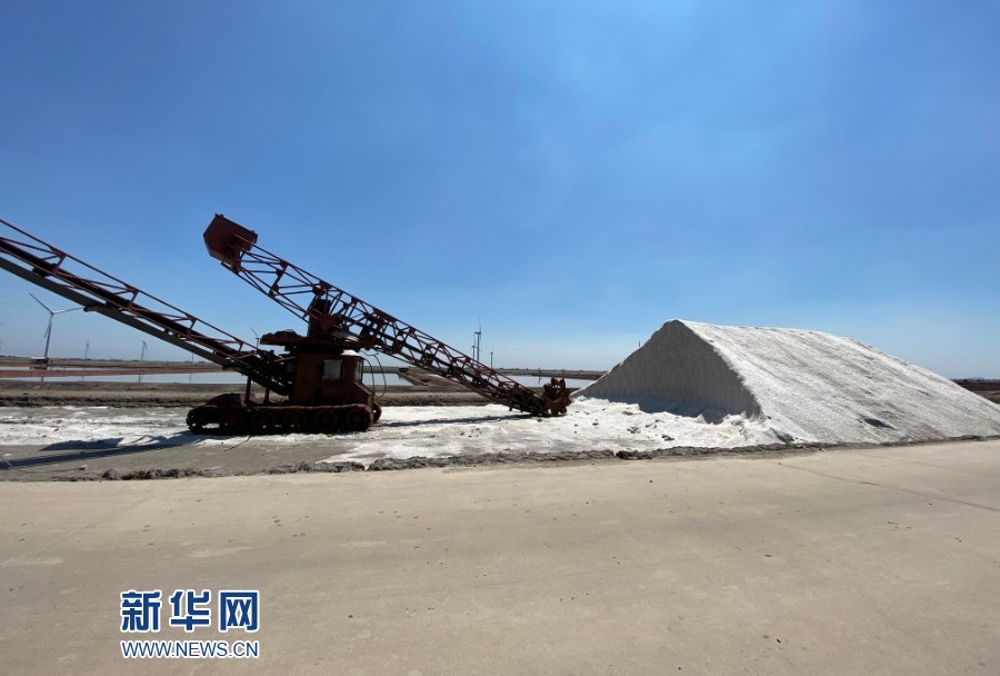 (新华网李培摄) 近日,天津长芦汉沽盐场有限责任公司进入收盐黄金期