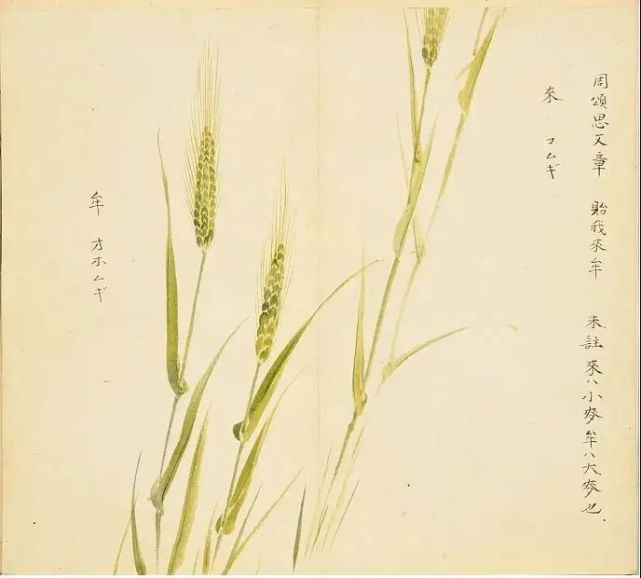 《诗经》中的农事与物候