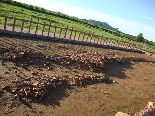 查海遗址发现19.7米长"真龙,彻底颠覆历史