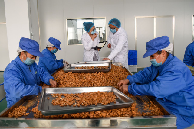 我国的劳动力供给将面临的是长期过剩