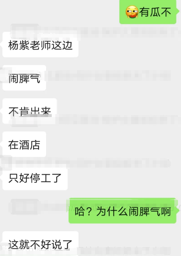 杨紫被曝耍大牌?工作人员晒聊天记录,因她闹脾气致全组停工