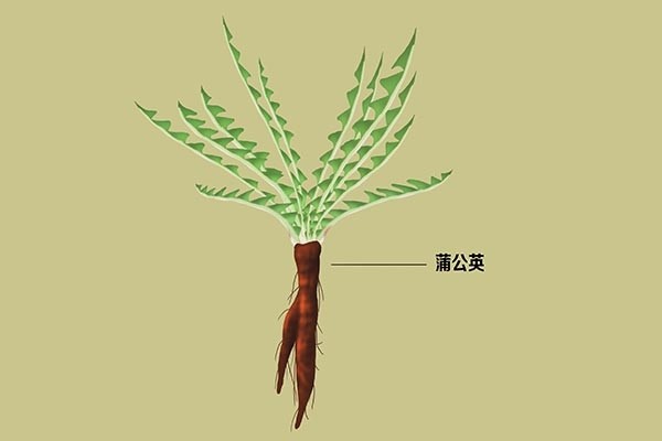 一阴虚就火旺，阴虚火旺体质的人，有哪些特点？怎么调理才好？