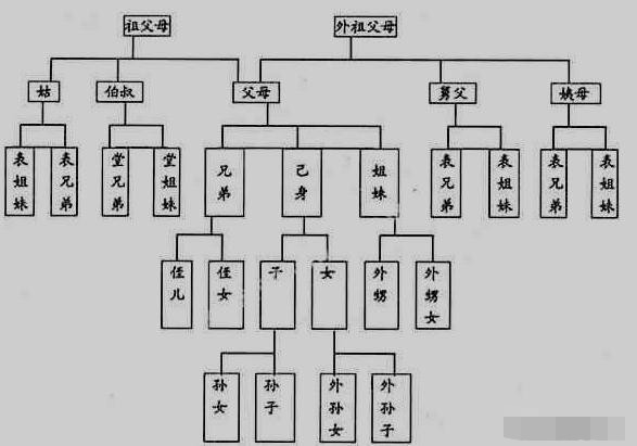 在血缘关系中表妹,堂妹哪个的血缘关系更近一些?看完