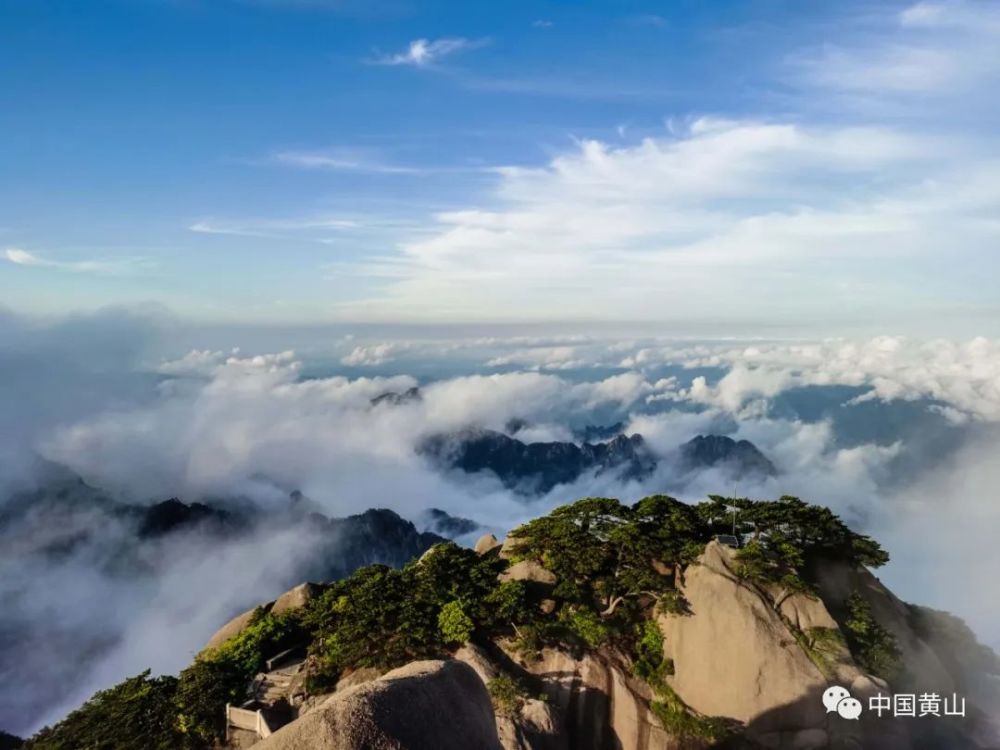 近日黄山风光大片齐上映,日出,云海,晚霞,佛光美不胜收