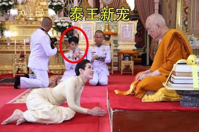 泰王新宠真狡黠!短发土气难辨雌雄,挤掉主子自己上位手腕够狠