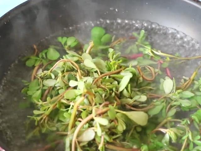 野菜马齿苋新吃法,加4个鸡蛋,简单一做,连挑食的孩子都抢着吃