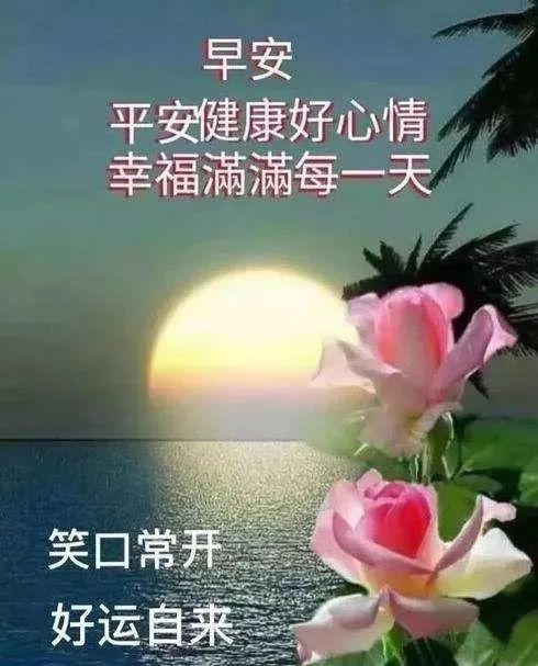 周末早上好暖心祝福问候表情带字 很美的早晨鲜花图片