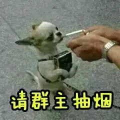 搞笑表情包:调戏群主表情包合集