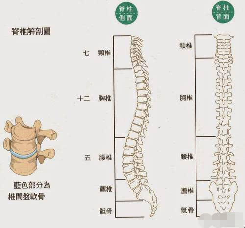 背部和脊柱的健康取决于腹部的支撑,锻炼腹肌就可以?