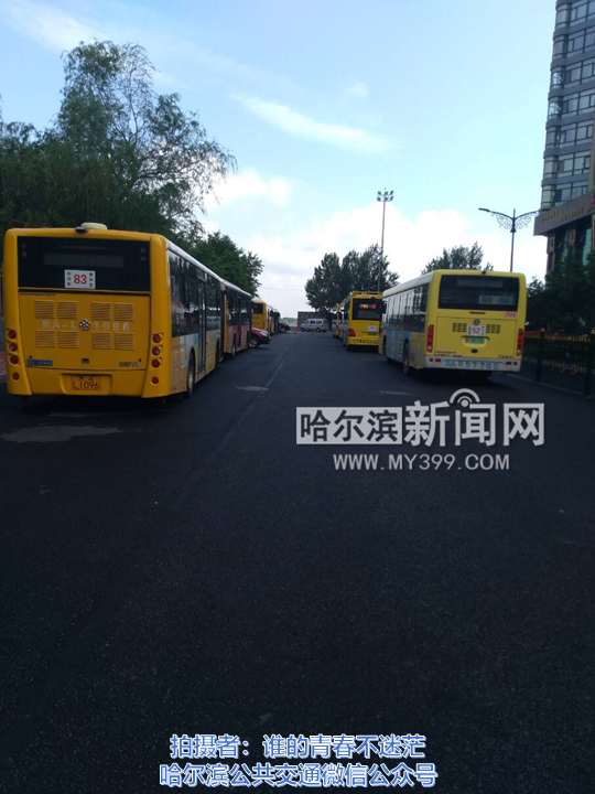 哈尔滨青年宫终点三条线路调整至公浴街公交停车场