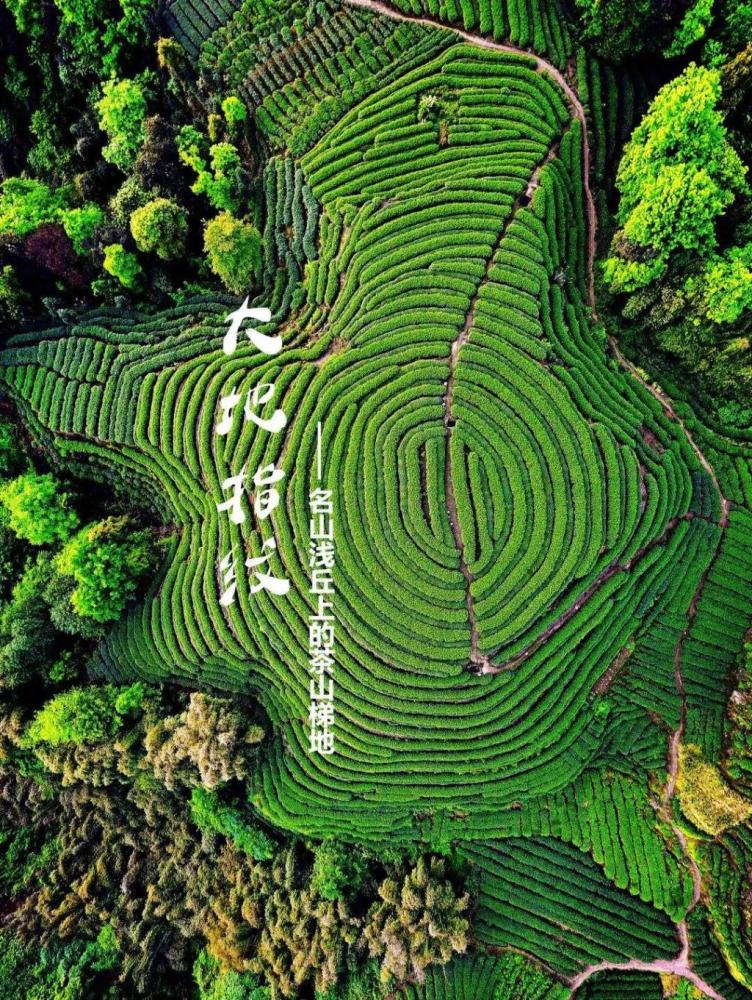 大地"指纹"——名山浅丘上的茶山梯地