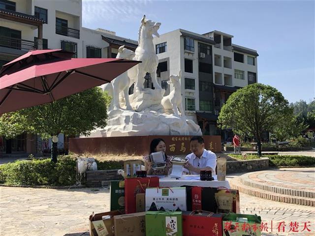 爱心助农,郧西宣传部长代言马头山羊,地标产品郧西马头山羊寻找"领养