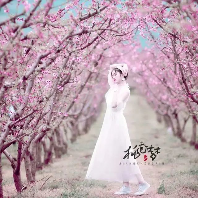 人像摄影:桃花梦