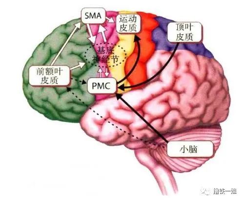 冒着生命危险也要练这项目，终于知道为什么和女明星差距这么大了！