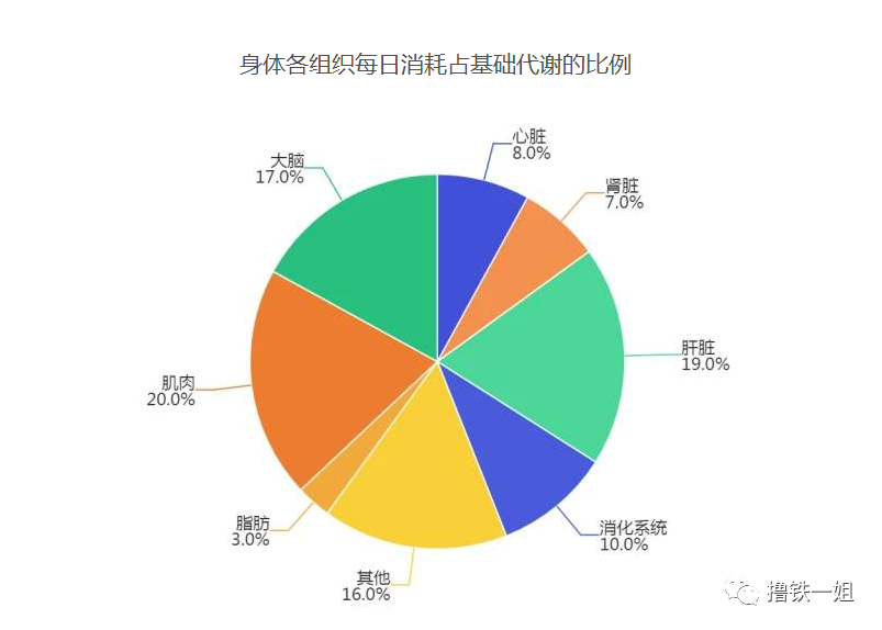 冒着生命危险也要练这项目，终于知道为什么和女明星差距这么大了！