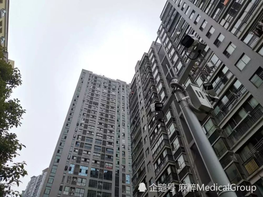 “想躲，却来不及了”，其中的科学道理