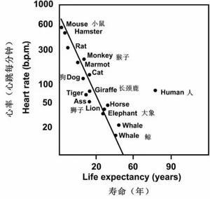 60岁的老人，静养修身好，还是锻炼强身好？医生给出了良心建议