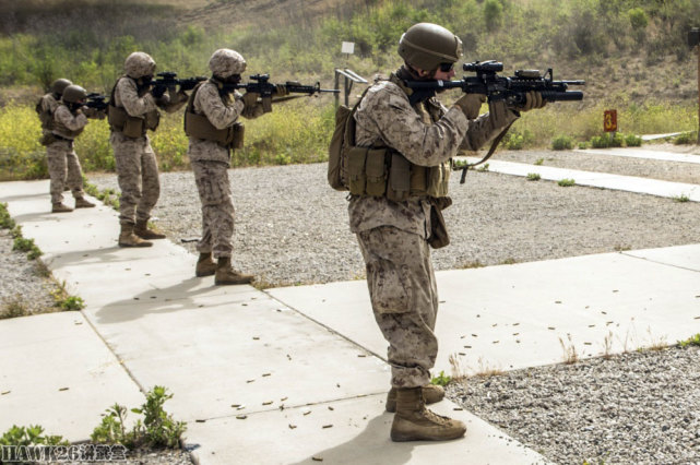 实弹训练 配全息瞄准镜 将作为正式装备