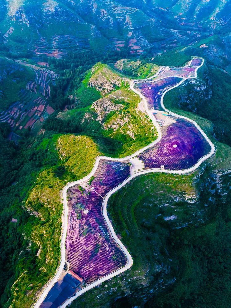 临朐九山,美丽乡村有大景观