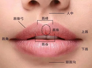 据说，唇妆画得惊艳的人都知道这些……