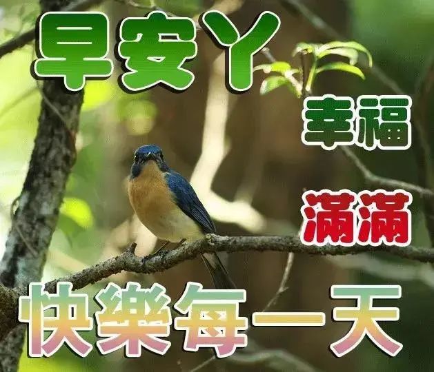 新的一天精美早安心语 早安问候语图片大全