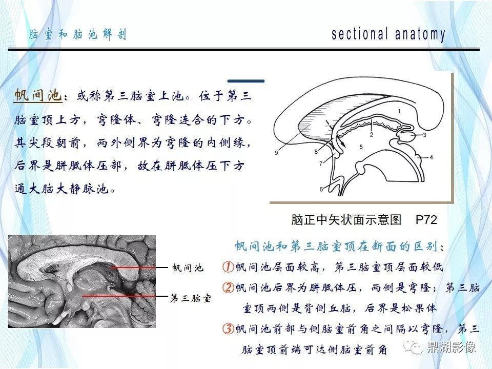 超全详解:脑池和脑室断层解剖