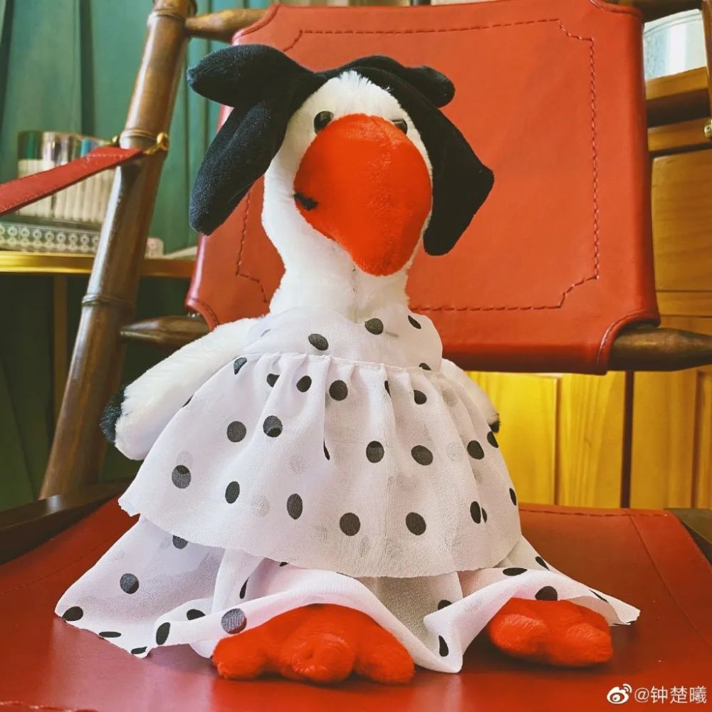 钟楚曦的发箍这么神奇，到我这里失效了