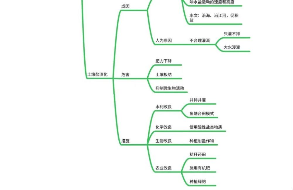 思维导图 成土母质为土壤的发生发育提供最初的物质来源是构成土壤矿