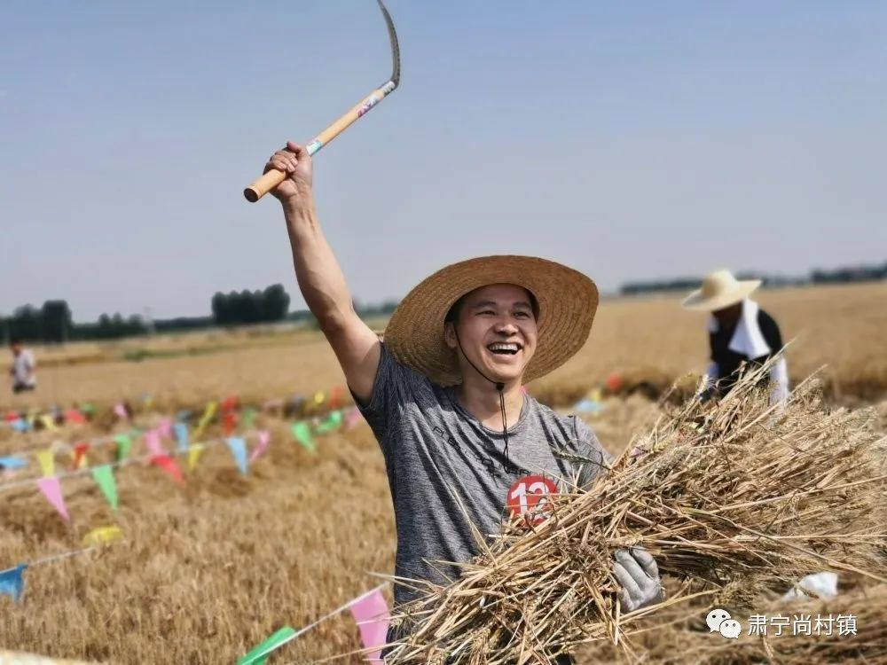 尹连社说,收割机在农村收割小麦,基本就是这里一户人家,那里一户人家